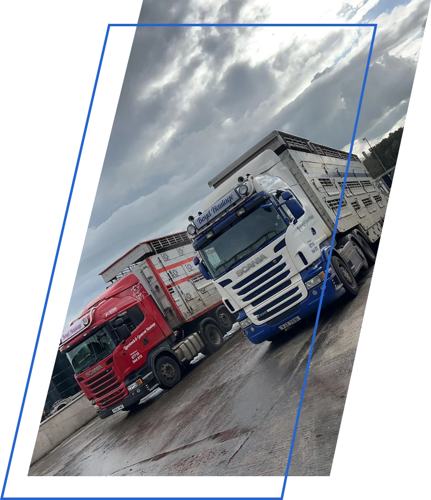 BOYD HAULAGE LIMITED